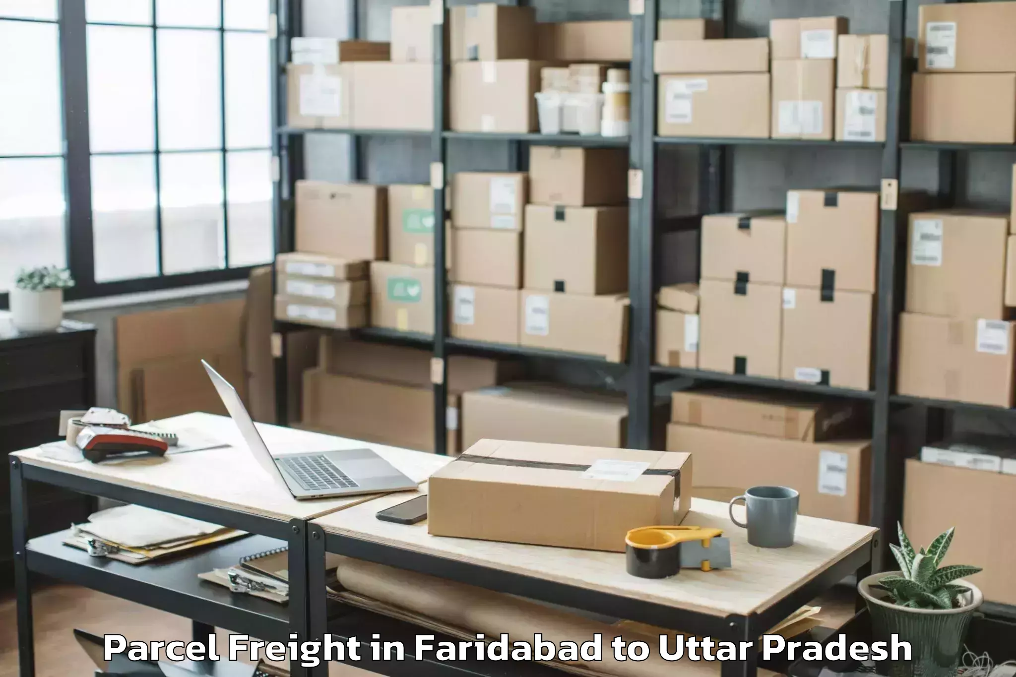 Reliable Faridabad to Mahgawan Parcel Freight